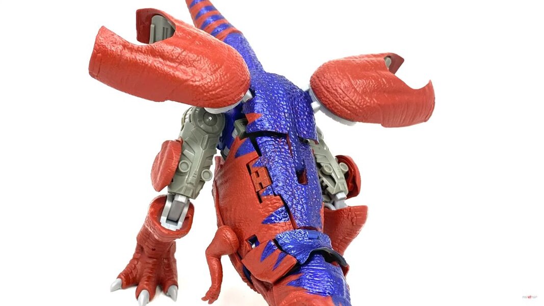 Transformers Kingdom TWrecks Red Card Exclusive inHand Images